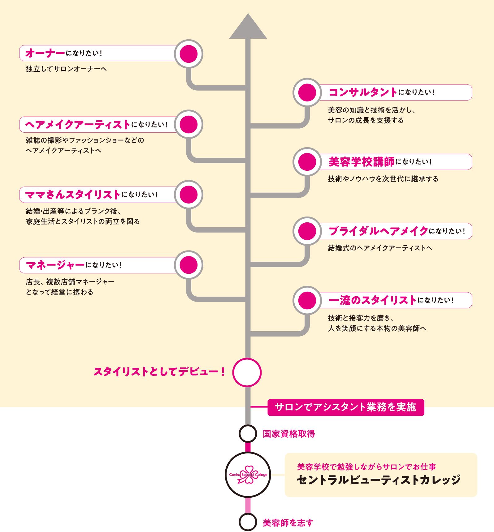 美容師としてのキャリアプラン